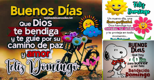 Imágenes feliz domingo con frases de bendiciones