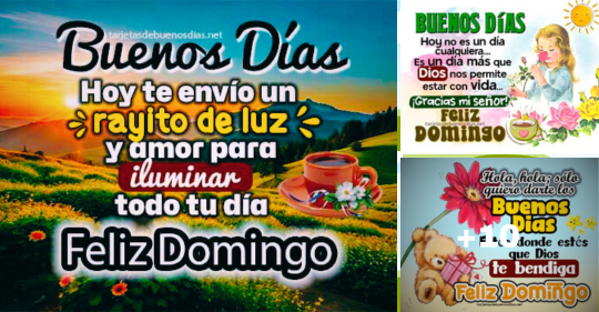 Imágenes de Feliz Domingo con frases tiernas y de cariño